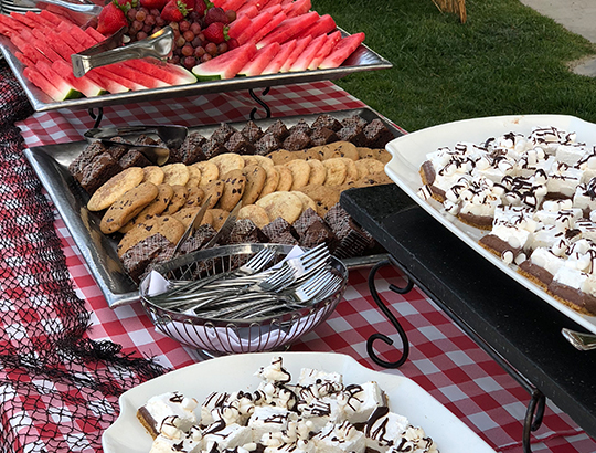 Table set with desserts on picnic tablecloth