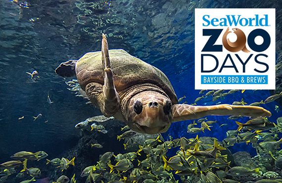 SeaWorld ZooDays