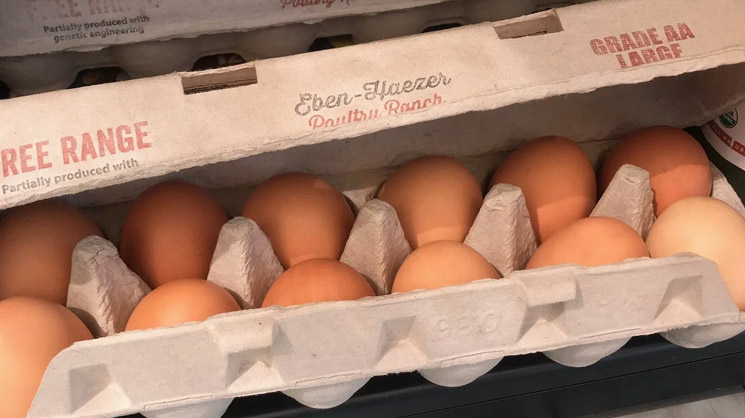 Eggs from local business food vendor, Eben-Haezer Egg Ranch