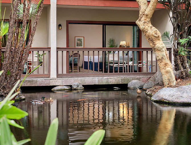 Looking across the pond into a Garden Room