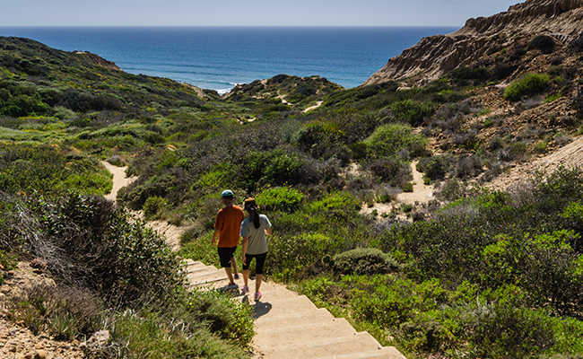 Going for a hike on a couple's trip to San Diego at Torrey Pines State Natural Reserve