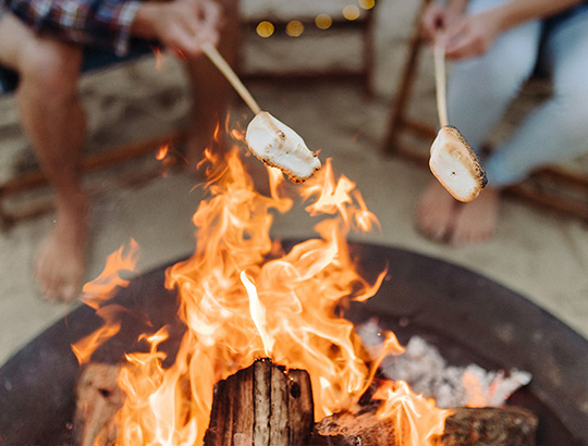 Bayside Bonfires