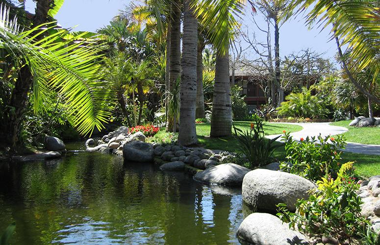 A serene garden view with a pond, palm trees, and lush greenery.