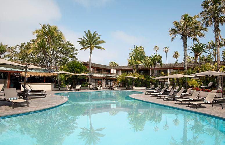 A large swimming pool with a curved edge, surrounded by lounge chairs, umbrellas, and palm trees, with a hotel building in the background.